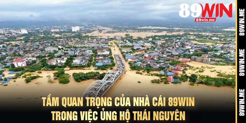 Tầm Quan Trọng của Nhà Cái 89Win trong Việc Ủng Hộ Thái Nguyên